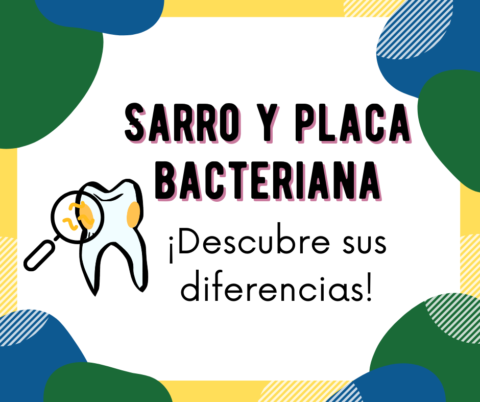 Diferencias Entre El Sarro Y La Placa Bacteriana Atauri Cano Dental